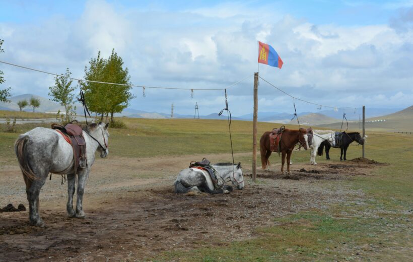 Birthplace of a Legend – Khentii Journey