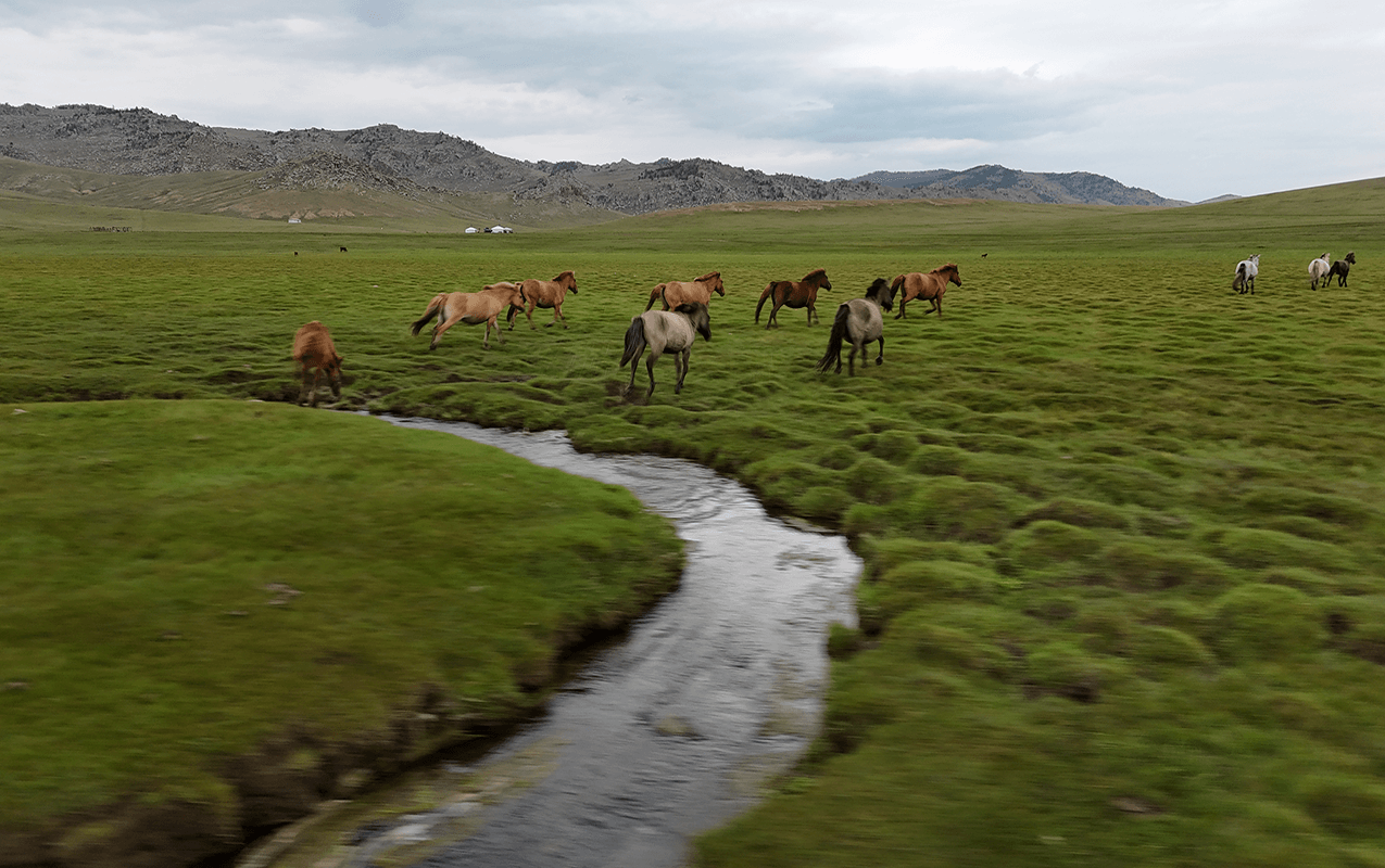 Eastern Mongolia