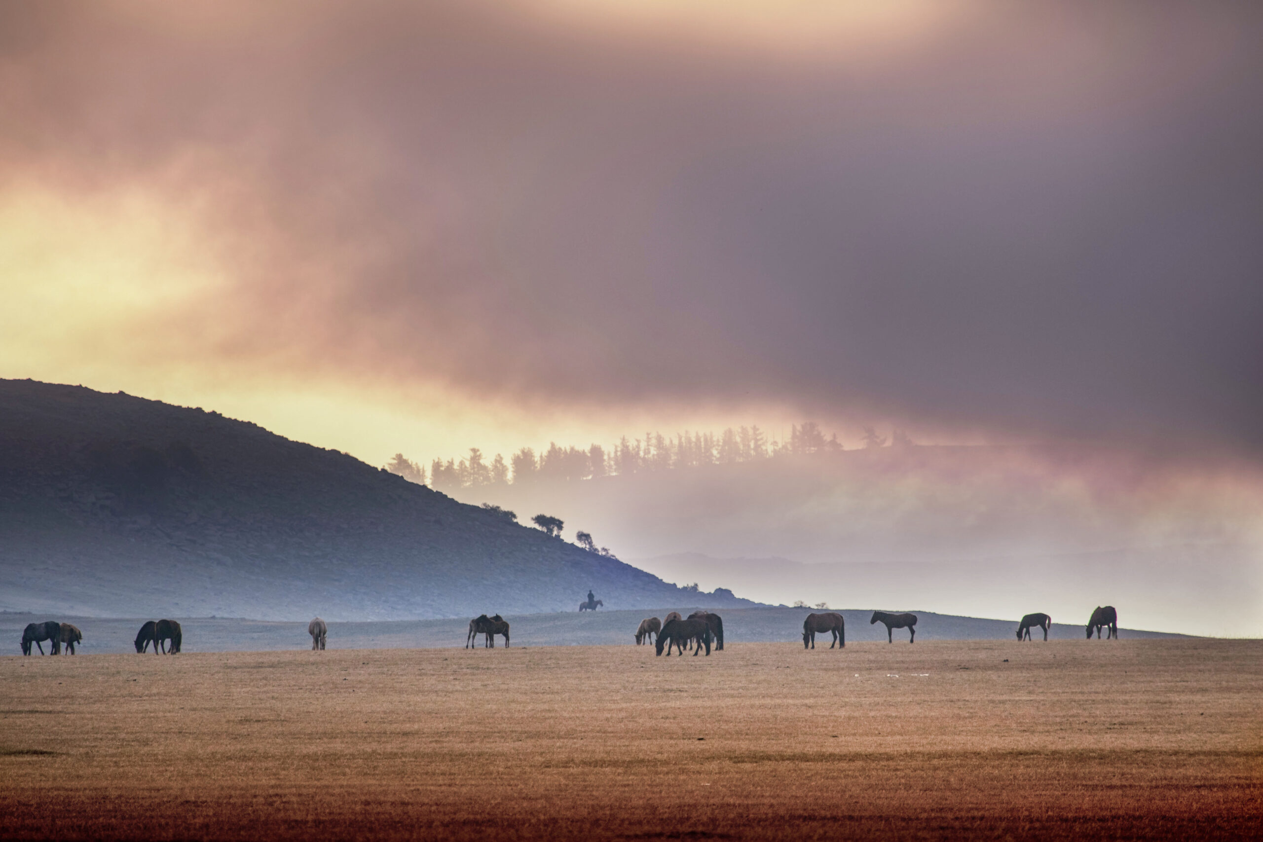 Northern Mongolia