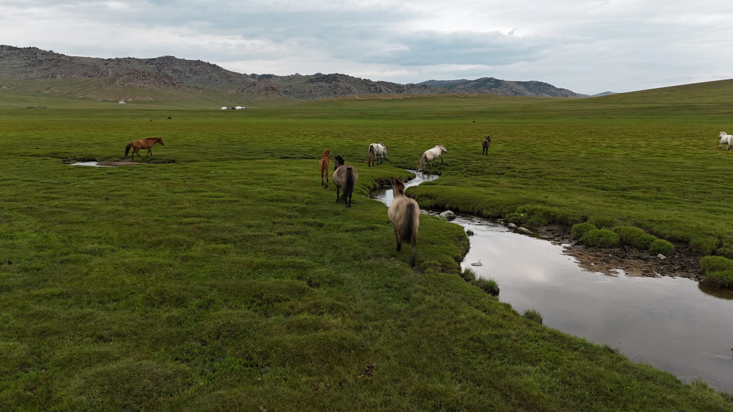 Eastern Mongolia