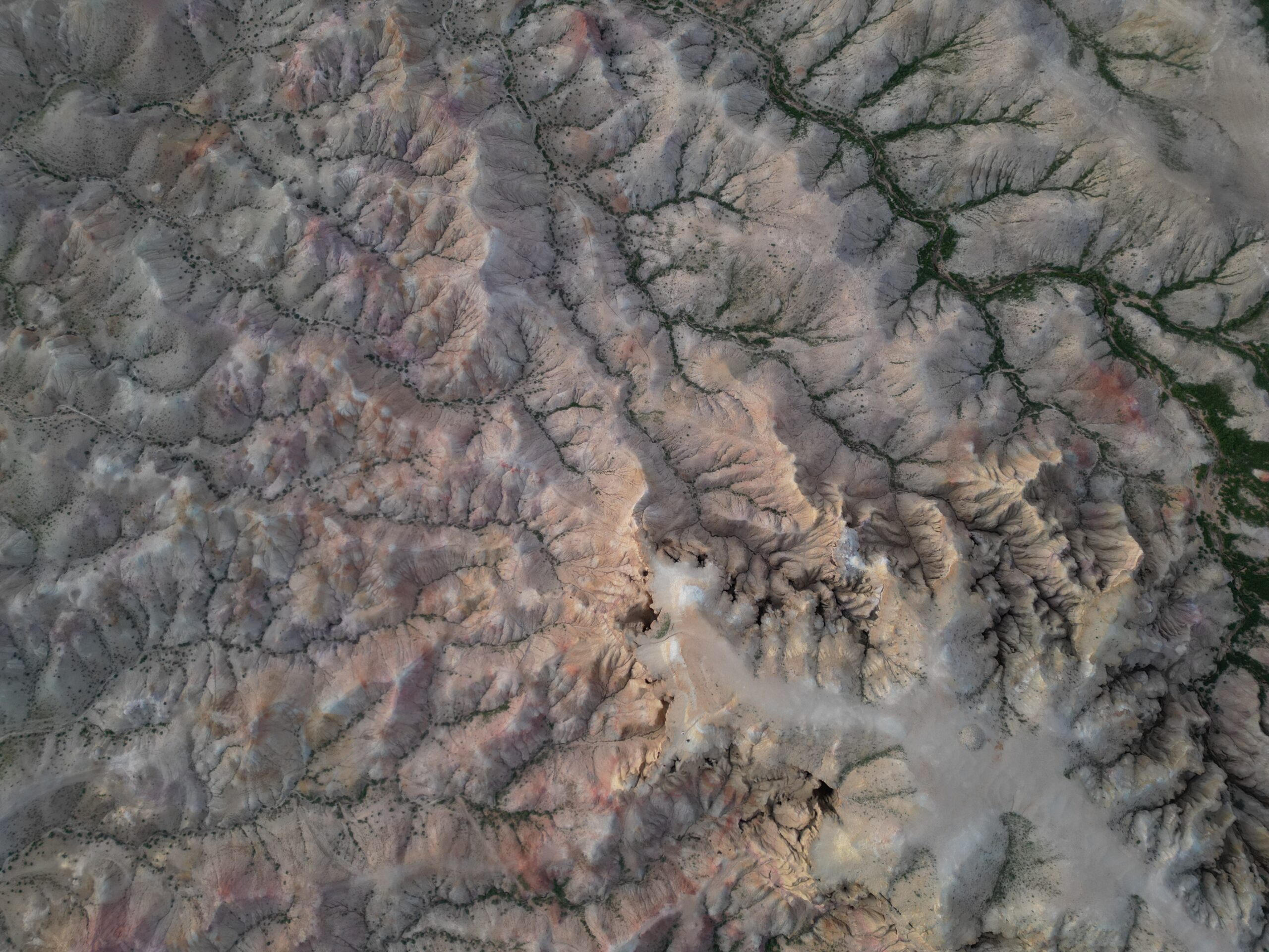 Southern Mongolia